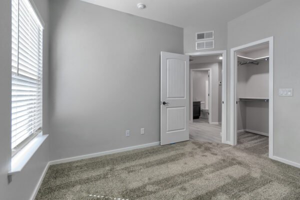 bedroom showing carpet, window, open door and walk‑in closet