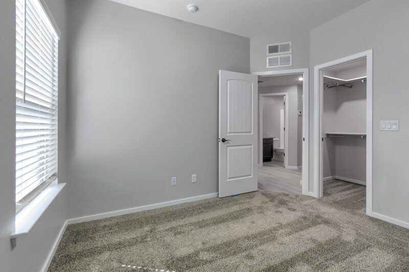 bedroom showing carpet, window, open door and walk‑in closet