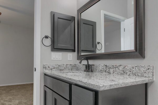 bathroom sink and faucet