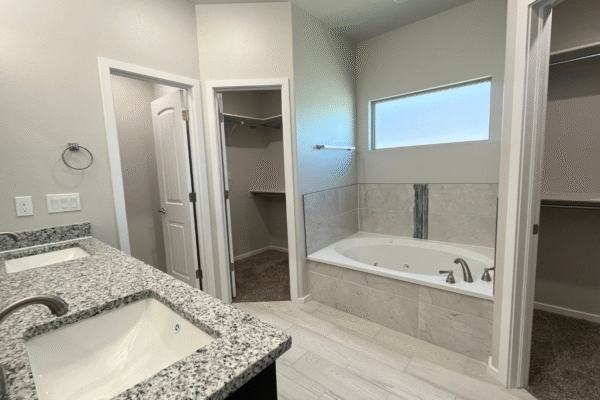 new Design shower and tub