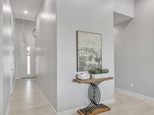 Modern Entence with Decor