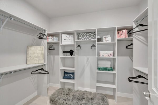 Walk‑in closet with shelves, hangers, and storage boxes