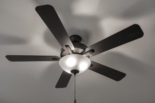 New Style Fan