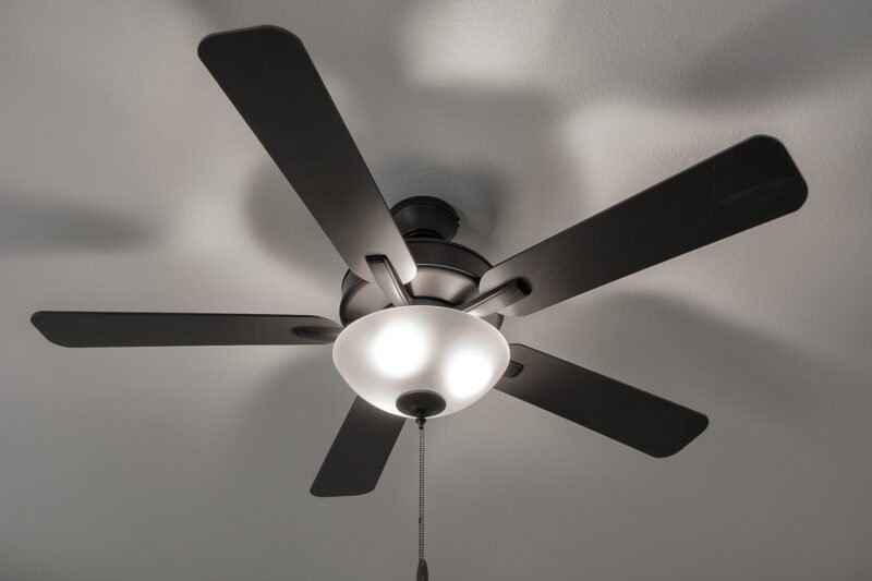 New Style Fan