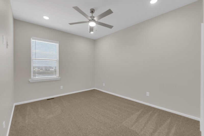 gray color with dust color carpait