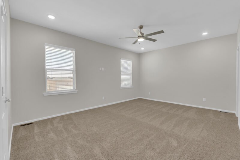 Hall room with Dark skin color carpait