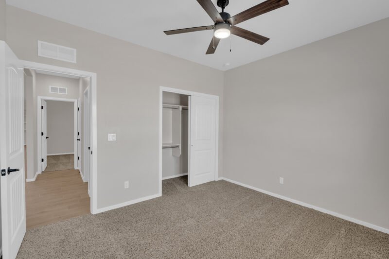 Classic size room and Carpait