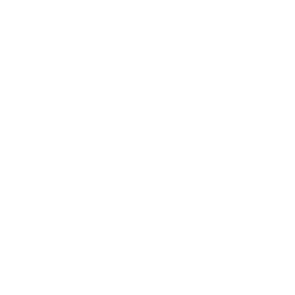 BIC Homes
